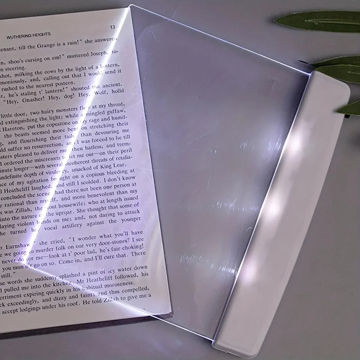 Gentle Glow Reading Light